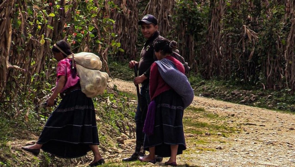 Miles de indígenas Tzotziles abandonan sus casas en Chiapas por temor a ataques armados