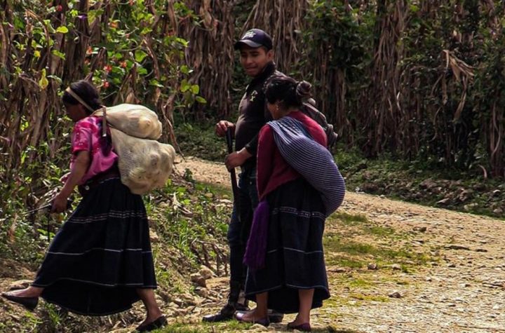 Miles de indígenas Tzotziles abandonan sus casas en Chiapas por temor a ataques armados