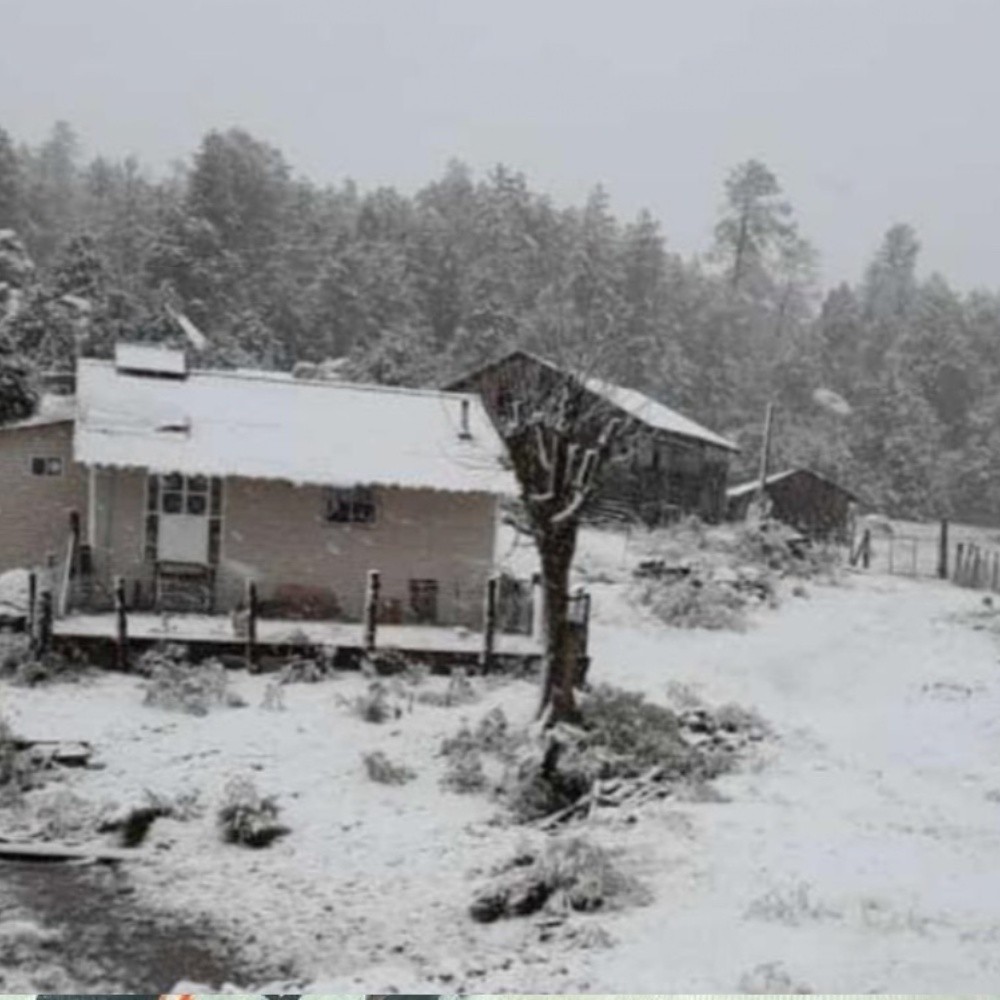 Hola invierno, cae nieve en tres estados de México y las fotos parecen de postal