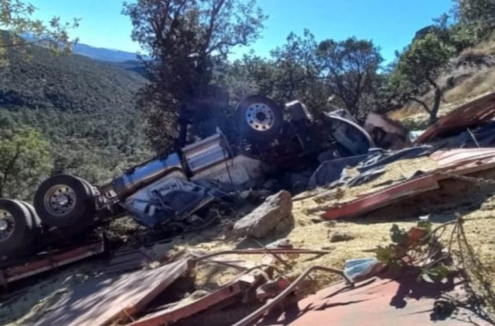 Tráiler cargado de maíz cae al fondo de un barranco sobre la carretera libre Mazatlán-Durango