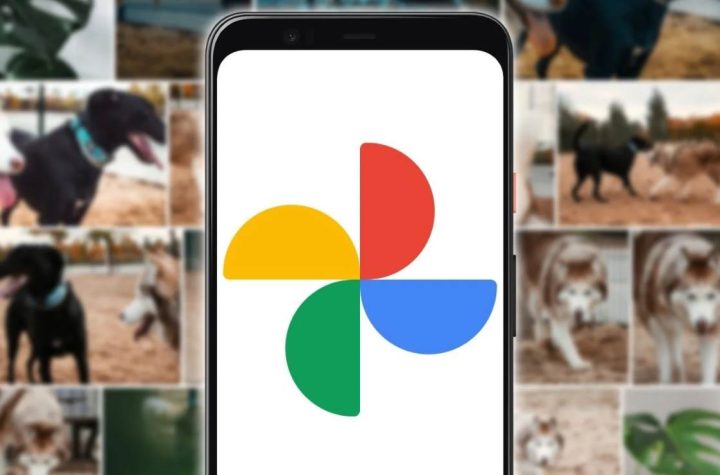 Google Fotos: 5 trucos que seguro no conocías