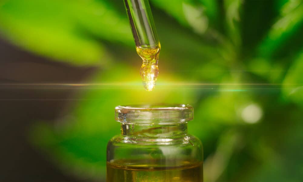 ¿Cómo medir la calidad del aceite CBD?