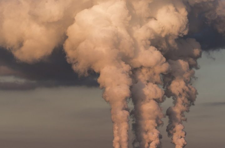 Consecuencias del cambio climático en las enfermedades humanas