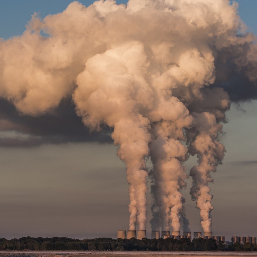 Consecuencias del cambio climático en las enfermedades humanas