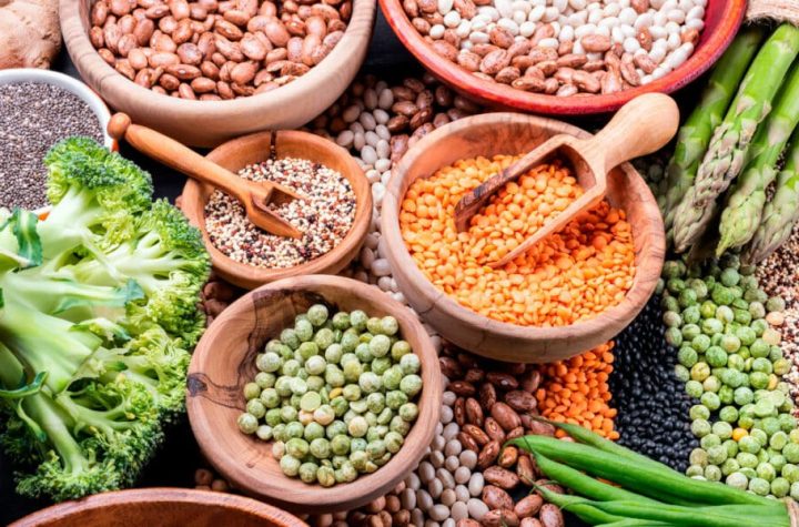 ¿Qué son las proteínas vegetales?