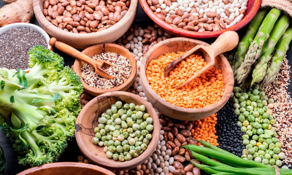 ¿Qué son las proteínas vegetales?