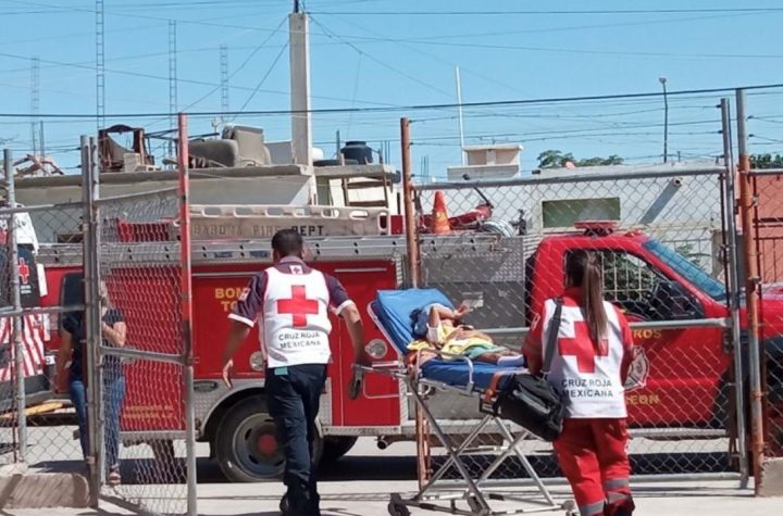 Atacan abejas a niños en jardín de niños de Torreón