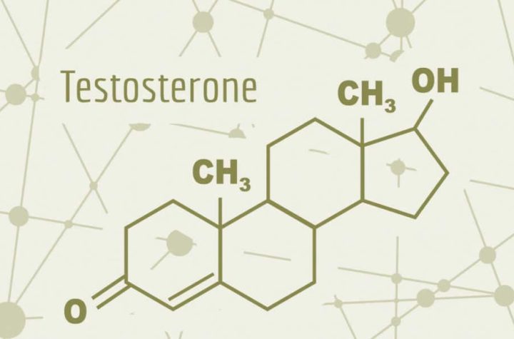 La importancia de aumentar la testosterona en hombres