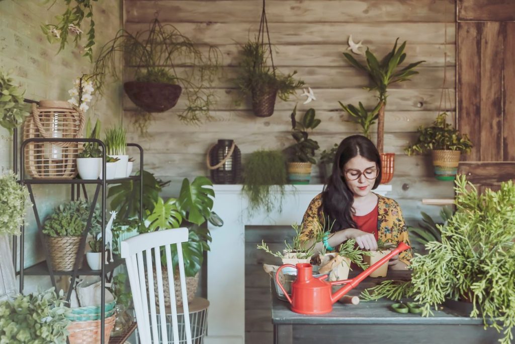 ¡Te revelamos la planta que corresponde a tu signo del zodiaco!