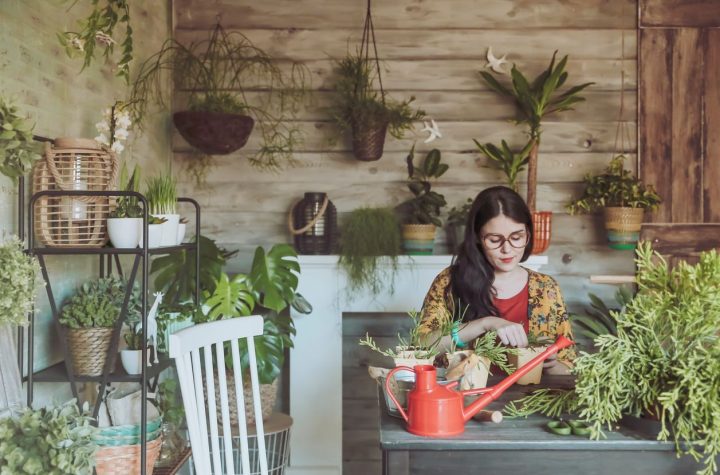 ¡Te revelamos la planta que corresponde a tu signo del zodiaco!