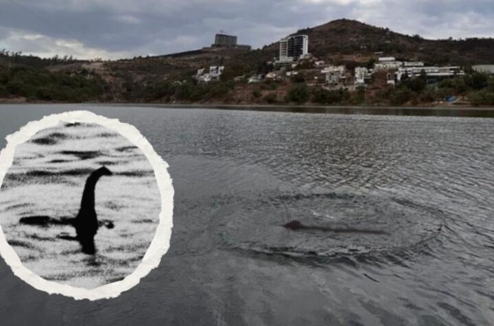 ¿Hay un dinosaurio suelto en Edomex? Esto sabemos del monstruo de la Presa Madín