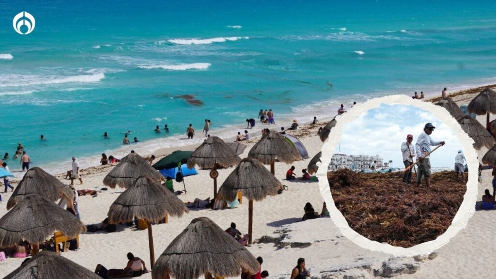 Semana Santa 2023: Playas bonitas y libres de sargazo en Quintana Roo