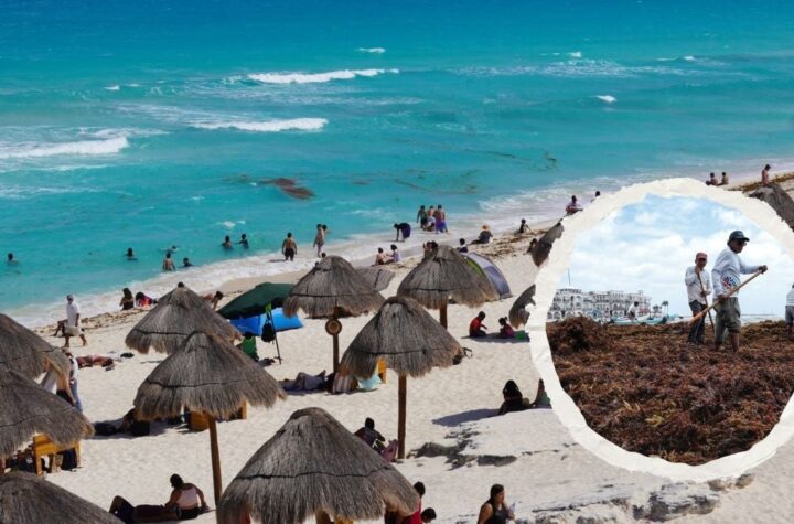 Semana Santa 2023: Playas bonitas y libres de sargazo en Quintana Roo