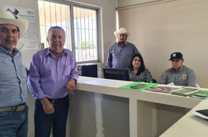 ¡Atención ganaderos! Abierta convocatoria de registro al programa para compra de sementales en Guasave