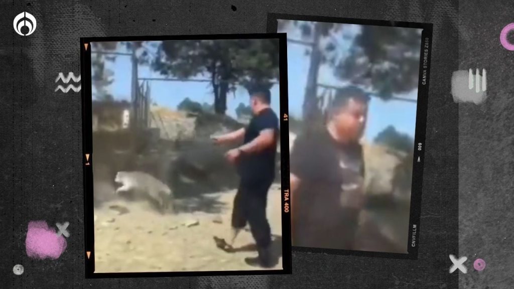 (VIDEO) Sujeto mata un perro a balazos en Tlaxcala; lo señalan como excandidato