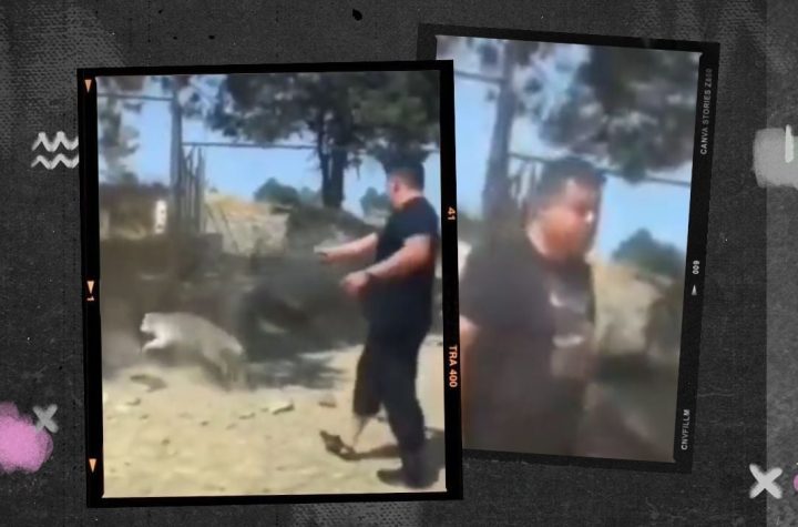 (VIDEO) Sujeto mata un perro a balazos en Tlaxcala; lo señalan como excandidato