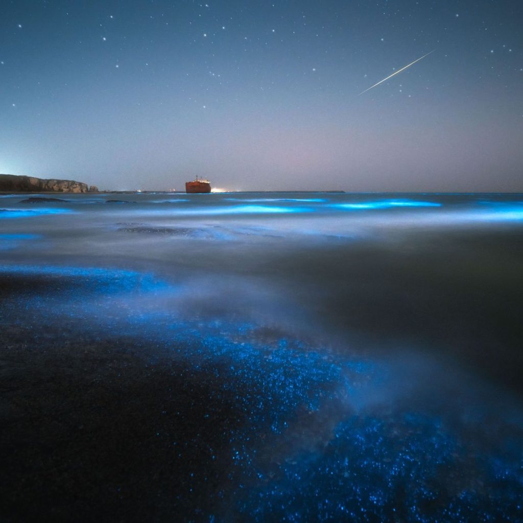 Descubre la magia de estas playas bioluminiscentes que puedes ver en España