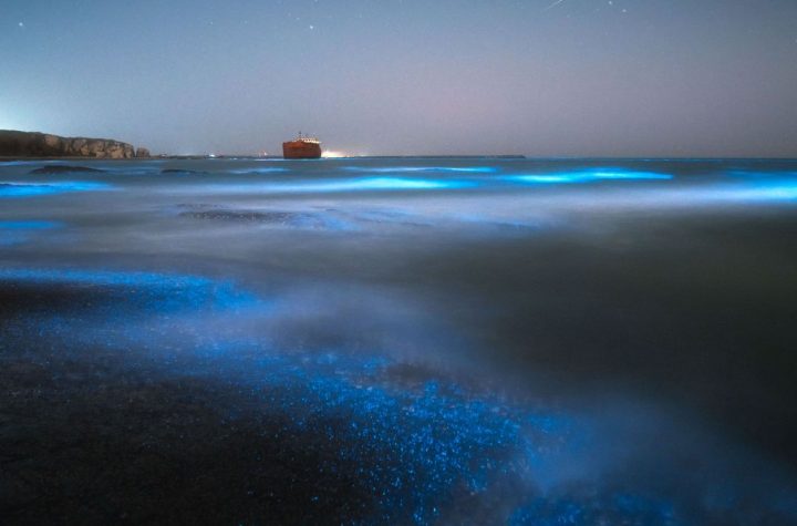 Descubre la magia de estas playas bioluminiscentes que puedes ver en España