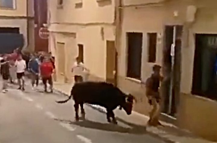 FUERTES IMÁGENES: captan el ataque de un toro contra un joven de 19 años que sale "volando"