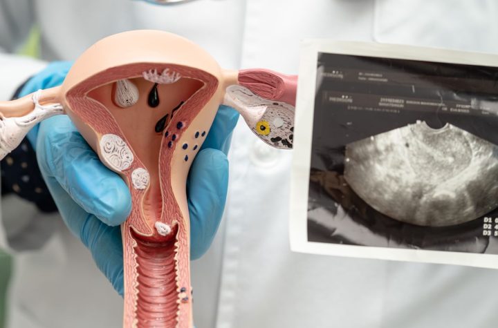 Salud femenina y metales pesados: Estudio revela conexiones alarmantes con la fertilidad