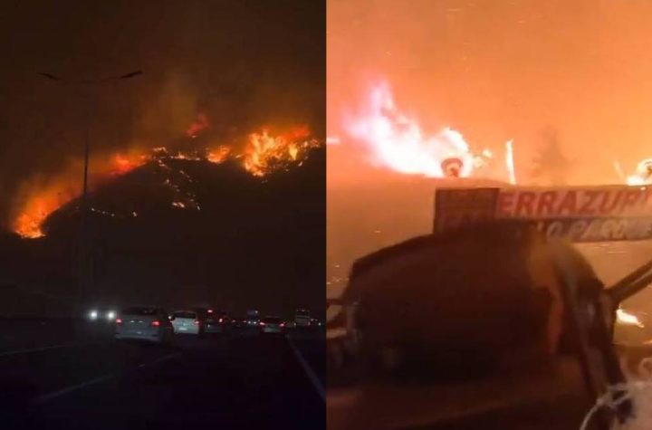 VIDEO: Numerosos incendios forestales se propagan en Chile; al menos 10 muertos