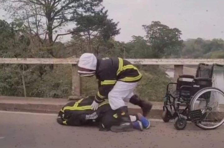 Fallece persona en silla de ruedas tras ataque de abejas africanas en Nicaragua