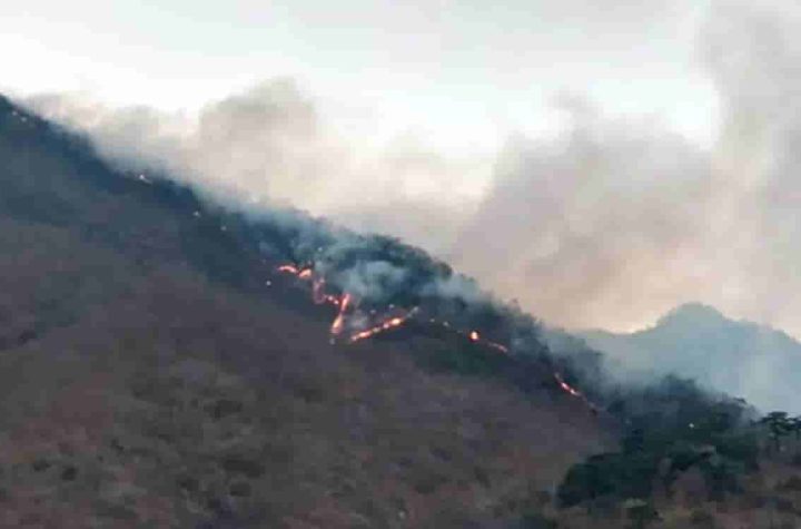 Incendio la Selva de los Chimalapas, Oaxaca, consume 16 mil hectáreas de bosque; lleva 18 días activo