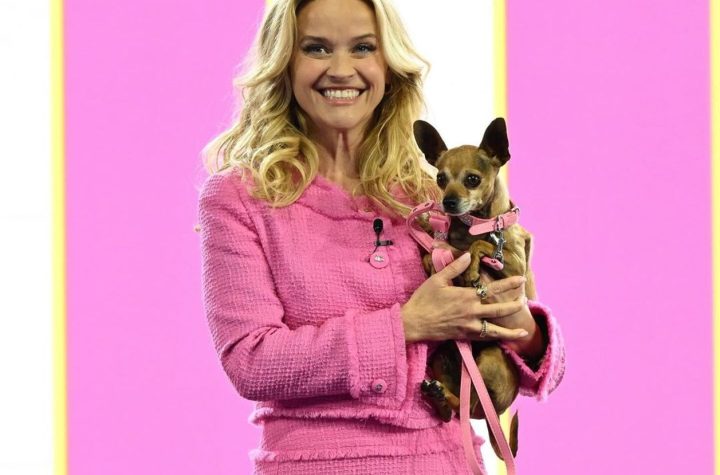 Reese Witherspoon revela la precuela de Legalmente Rubia en Amazon Prime Video: Descubre los orígenes de Elle Woods