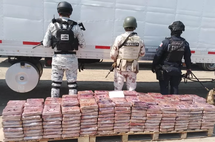 Aseguran 455 Kilogramos de Cocaína Durante Operativo en Tijuana