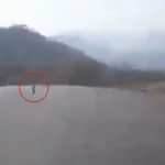 Una extraña, aterradora y diminuta criatura fue captada en VIDEO cuando caminaba en medio de la carretera