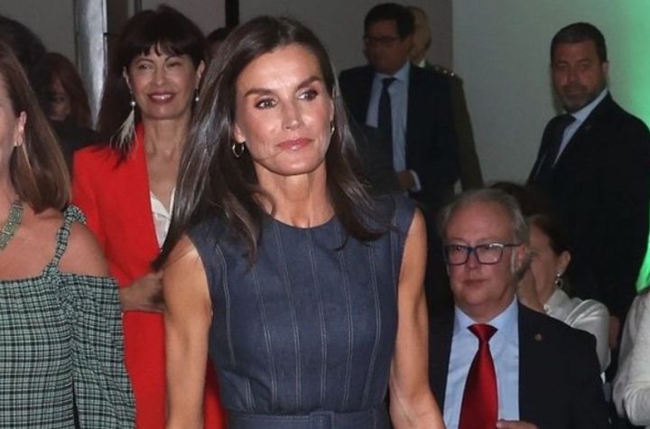 El clon low cost del vestido vaquero elegante de Letizia en los Premios ECO: está en Massimo Dutti y por menos de 90 €