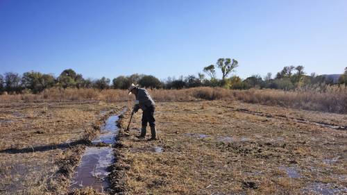 Persisten afectaciones por derrame de  tóxicos en el río Sonora hace 10 años