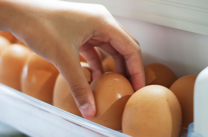 A qué edad te enteraste del verdadero propósito de la bandeja para huevos en el frigorífico