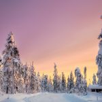 Hay un verdadero paraíso invernal en Finlandia: aquí le mostramos cómo visitarlo