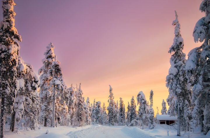 Hay un verdadero paraíso invernal en Finlandia: aquí le mostramos cómo visitarlo