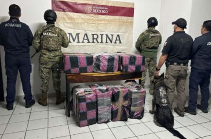 Marina decomisa 350 kilos de cocaína en Ensenada, BC; iban distribuidos en 300 paquetes al  interior de un contenedor