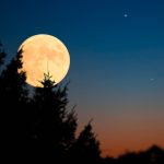 La Luna Llena en Leo Iluminará El Cielo Durante la Noche del 12 de Febero y Traerá Buenas Noticias A Estos 4 Signos