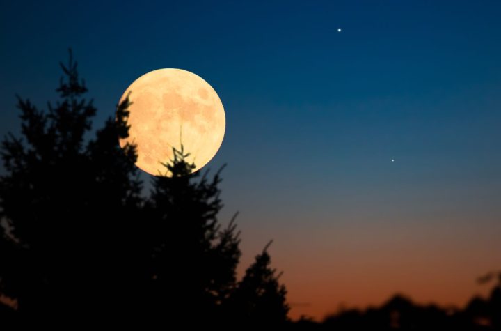 La Luna Llena en Leo Iluminará El Cielo Durante la Noche del 12 de Febero y Traerá Buenas Noticias A Estos 4 Signos