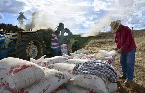 Acaparan trasnacionales ganancias de las agroexportaciones mexicanas