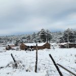 Las temperaturas mínimas rompen el récord de la década ¡-23.1º en Cumbres de Majalca, Chihuahua!