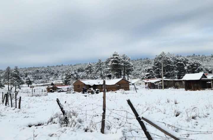 Las temperaturas mínimas rompen el récord de la década ¡-23.1º en Cumbres de Majalca, Chihuahua!