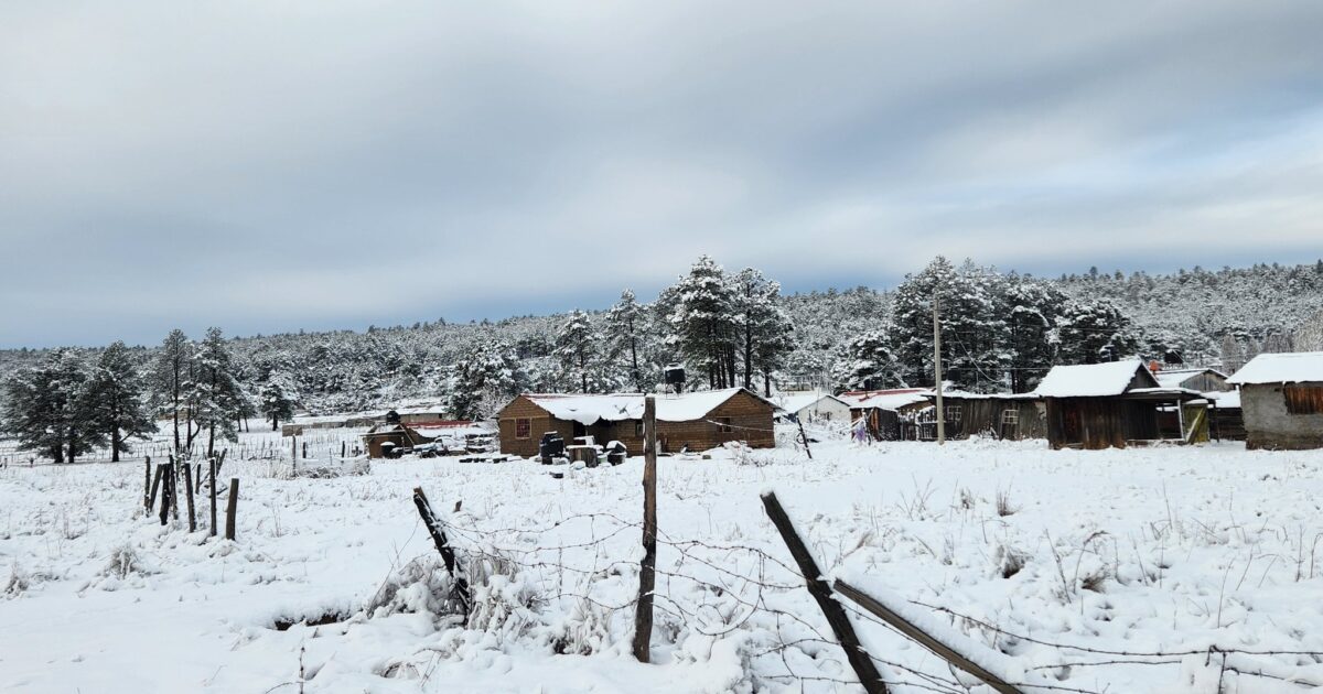 Las temperaturas mínimas rompen el récord de la década ¡-23.1º en Cumbres de Majalca, Chihuahua!