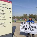 Infestado por muérdago, 60% del arbolado de la Ciudad Deportiva