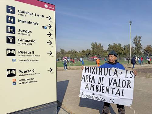 Infestado por muérdago, 60% del arbolado de la Ciudad Deportiva