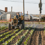 Gestión de residuos en la industria Alimentaria y su impacto en la salud humana