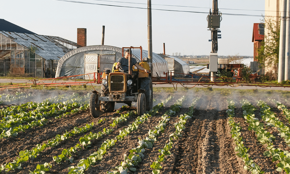 Gestión de residuos en la industria Alimentaria y su impacto en la salud humana