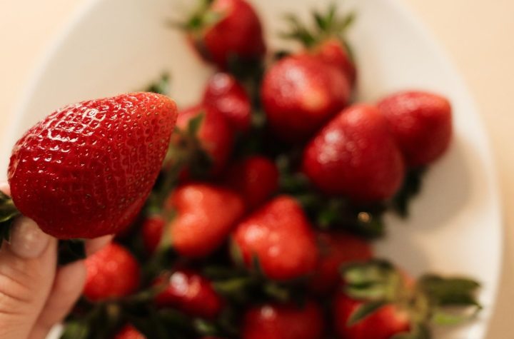 ¿Tus Fresas SE Estropese Rápido? Esté el error que estás cometiendo al conservarlas (y es más típico de lo que corre)