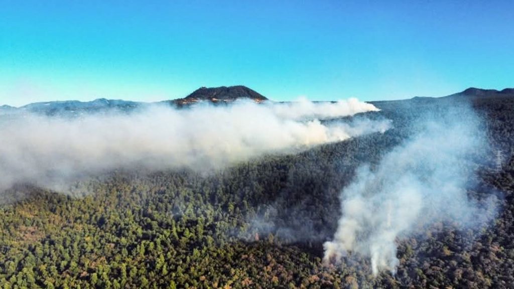 Incendio Forestal en el Tepozteco Arrasa con Más de 450 hectáreas y Amenaza Viviendas