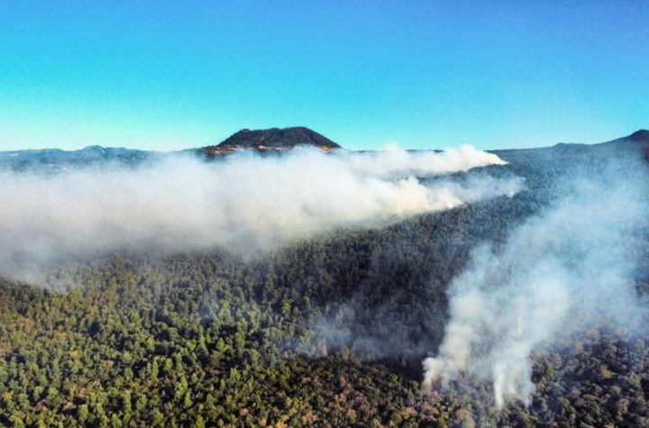 Incendio Forestal en el Tepozteco Arrasa con Más de 450 hectáreas y Amenaza Viviendas