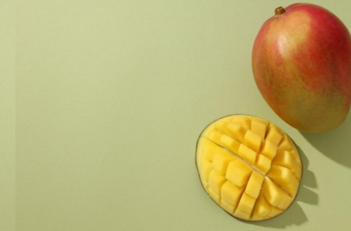 Nayarit exportará 2 mil toneladas de mango Kent a Asia